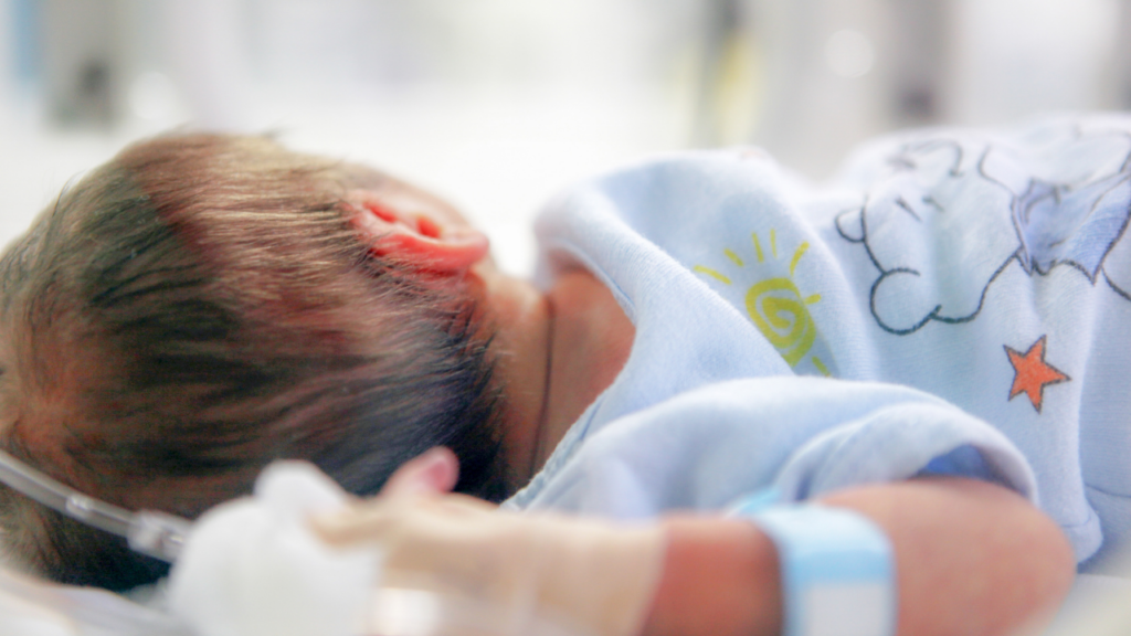 Lindjet bien me 4.6 për qind në 9-mujorin e 2025, tkurrja përhapet në të gjithë vendin